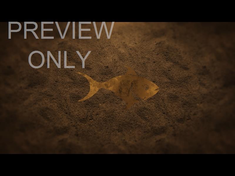 Color Fish Still: The Gospel According To Peter
