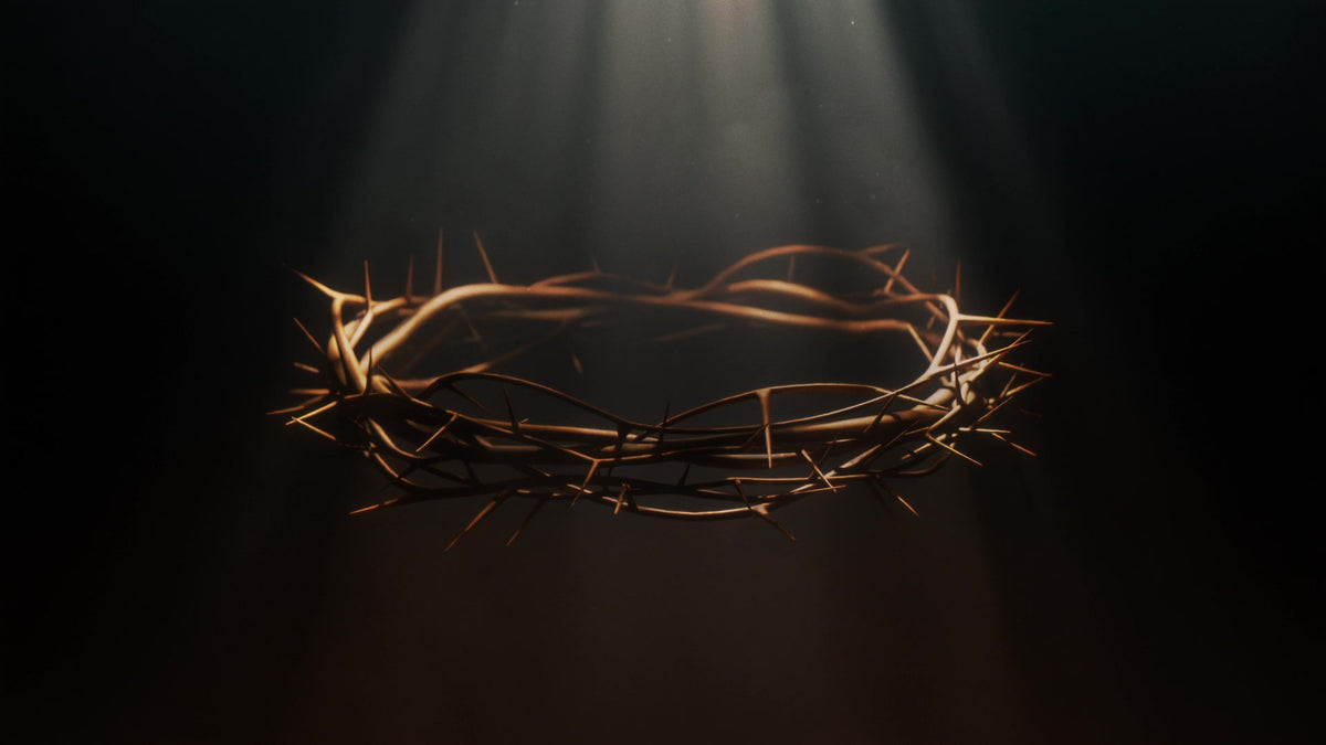 Holy Week Crown Of Thorns Trace Still