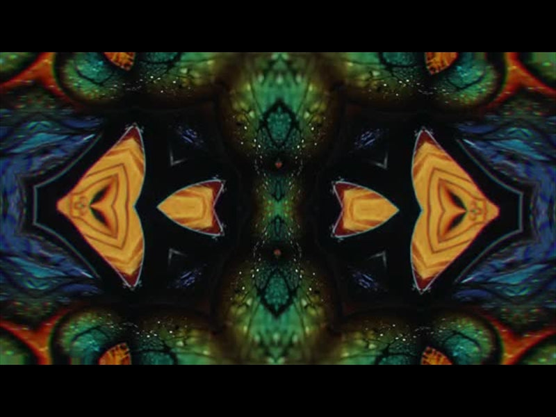 Butterflies 7