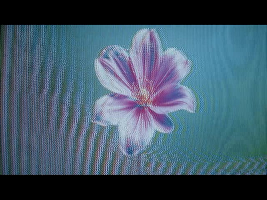 Crt Flowers 13