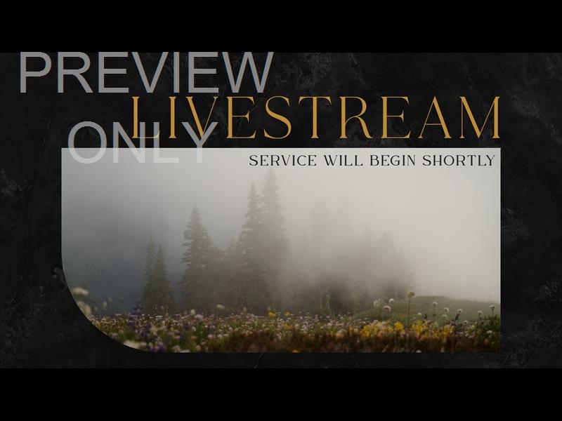 Mountainside Livestream Still