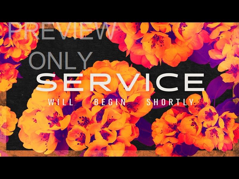 Bold Blooms Service Still