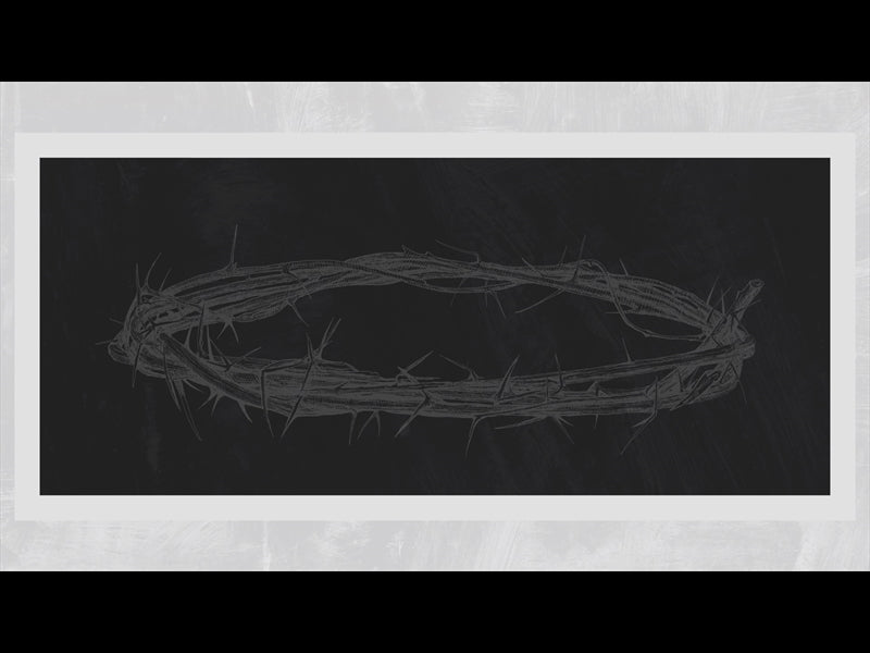 Polaroid Palm Loop 09