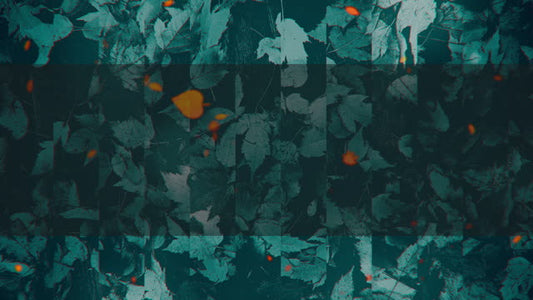 Autumn Memories 5 Alt