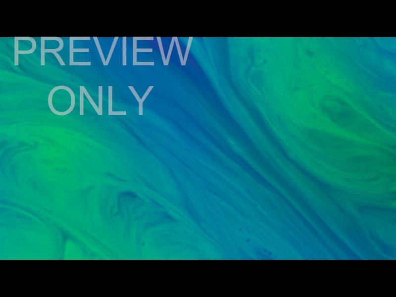 Palm Sunday Paint: 1 Still