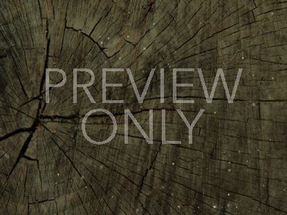 Wood And Particle Still 3