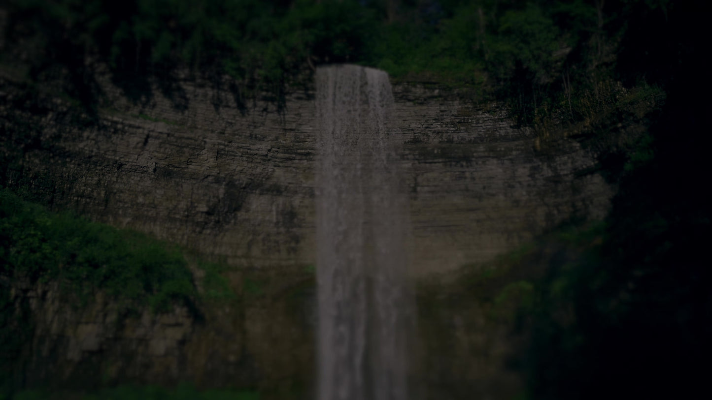 Nature'S Force 11 Darken Still