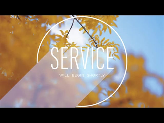 Fall Shadow Service