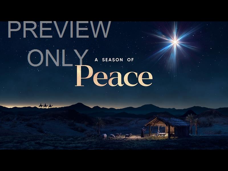 Christmas Promise Peace Still