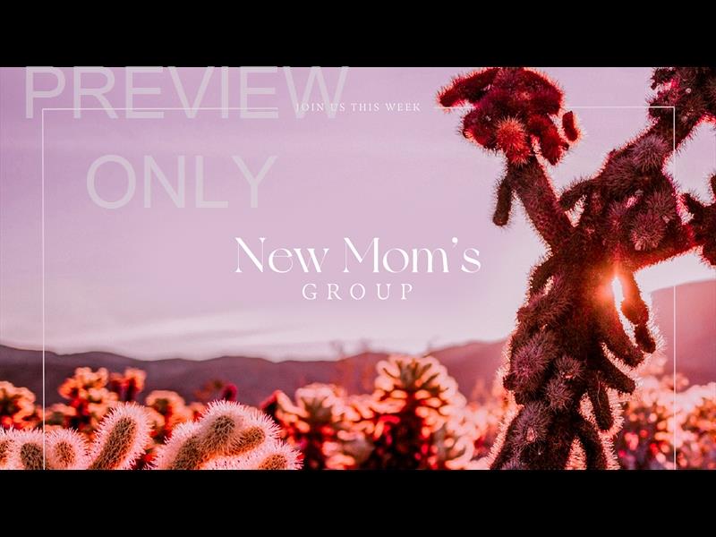 Desert Pink New Mom's Group