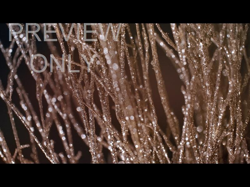 Christmas Gold 4 Still