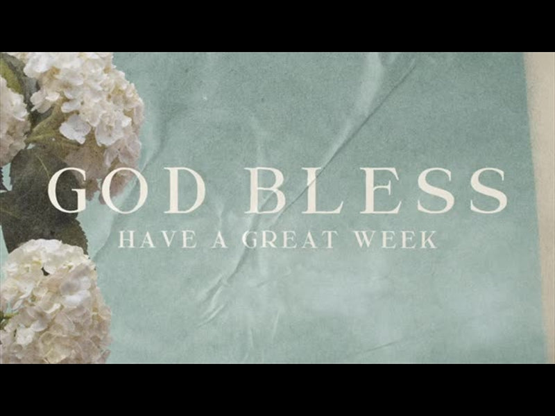 Hydrangea God Bless