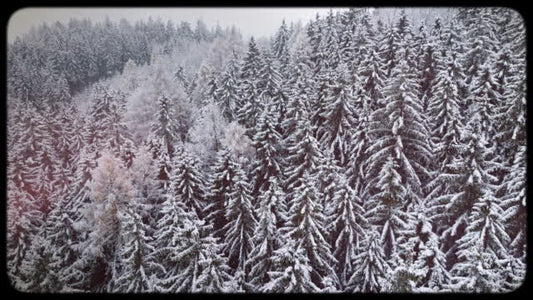 Retro Winter 02