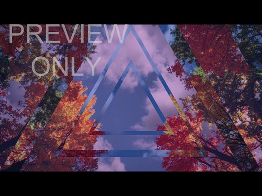 Fall Trees 6 Remix Still