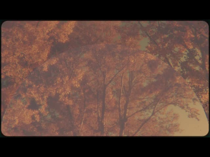 Vintage Fall Loop 01