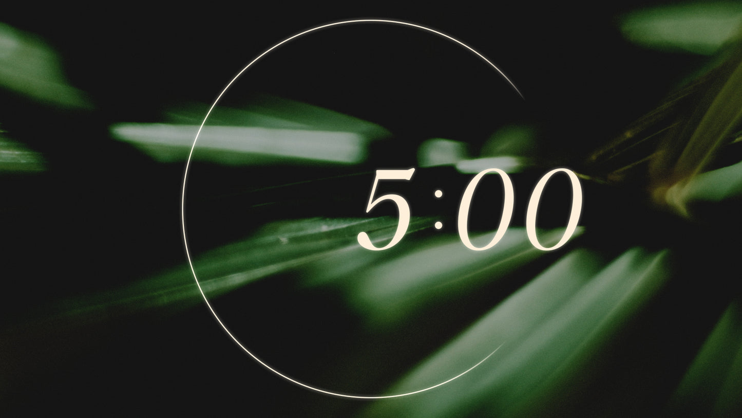 Triumph Countdown 02