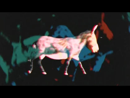 Bible Animals Donkey