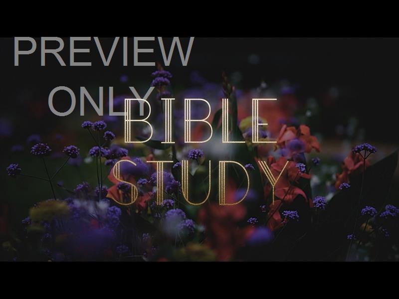 Ebony Floral: Still Bible Study