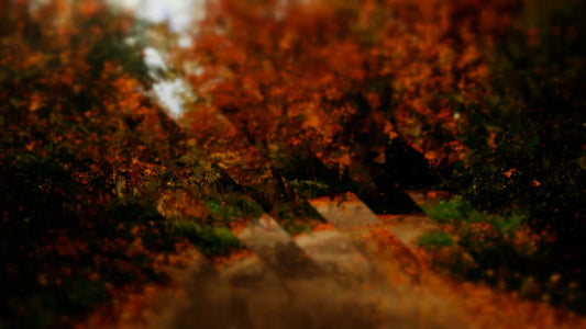 Autumns End 10