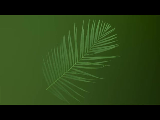 Palm Sunday Ink 1