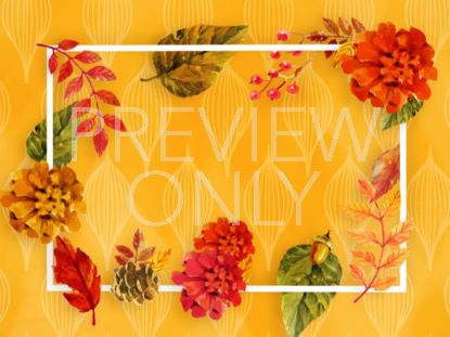 Colors Of Fall Still 1