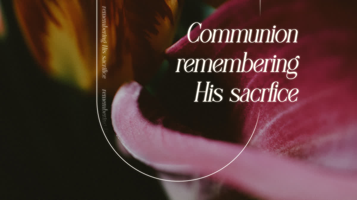 Beauty And Strength Still Communion