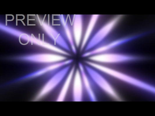 Winterstar 08 Still
