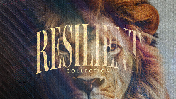 Resilient Collection