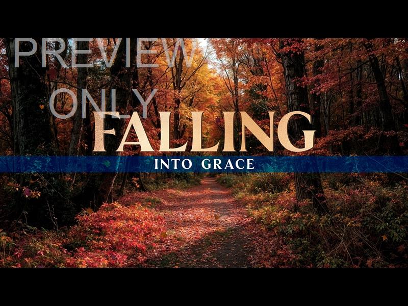 Forest Fall Falling Into Grace Still
