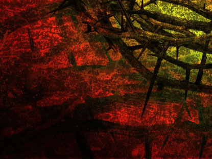 Crown Of Thorns