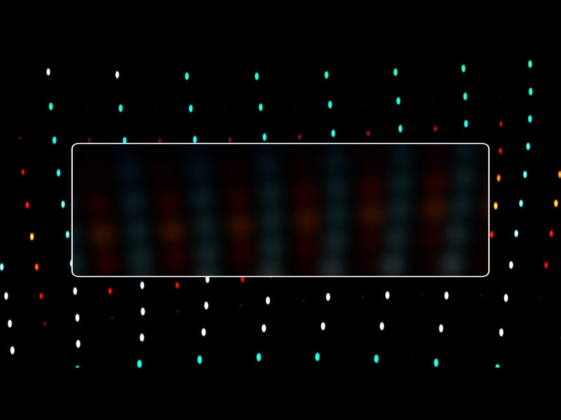 The Dot Flow Motion Inlay