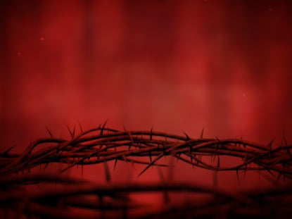 Crown Of Thorns Red Spin