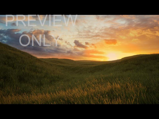 Prairie Sunset Flight Still