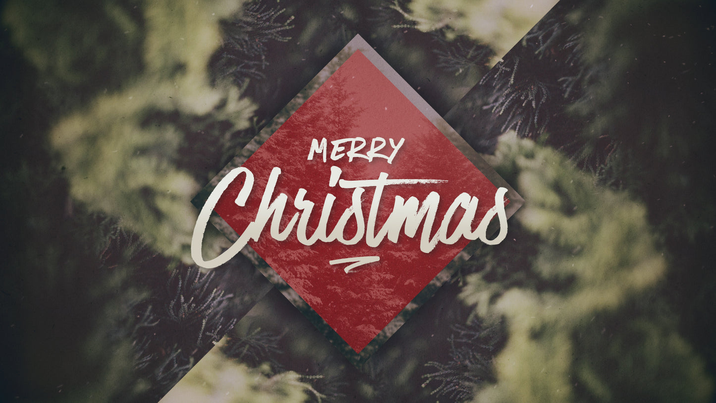 Christmas Forest Merry Christmas Still