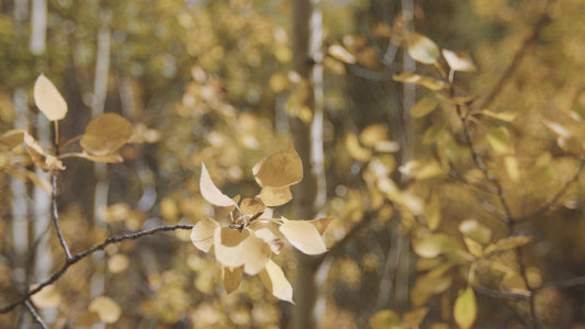 Mountain Hike 06 Still