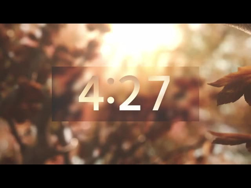 Harvest Countdown 02