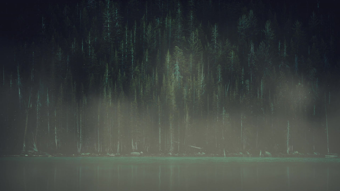 Lumberjack Dad Shoreline Still