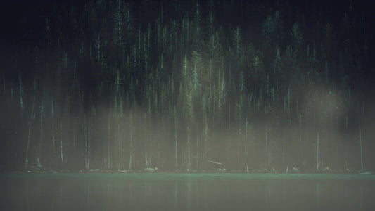 Lumberjack Shoreline