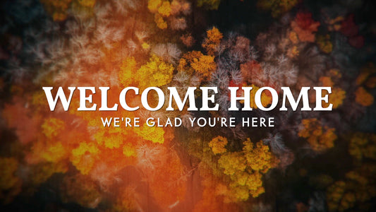 Aerial Journey Welcome Back Still