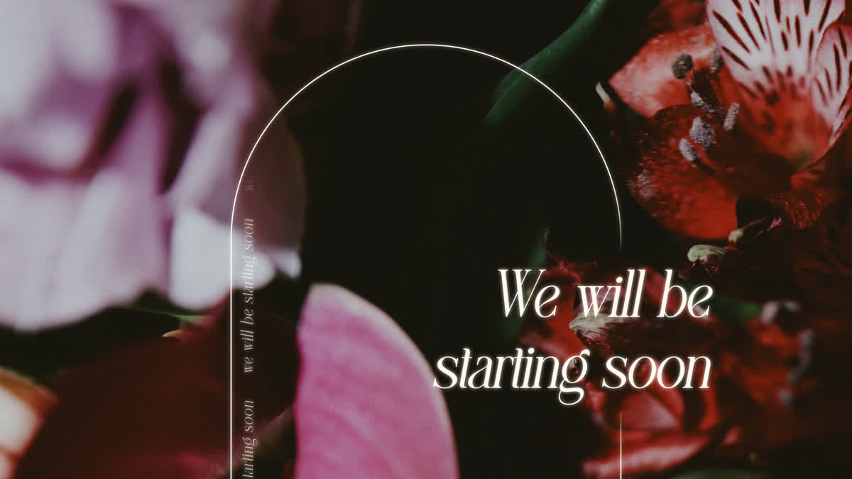 Beauty And Strength Still Starting Soon