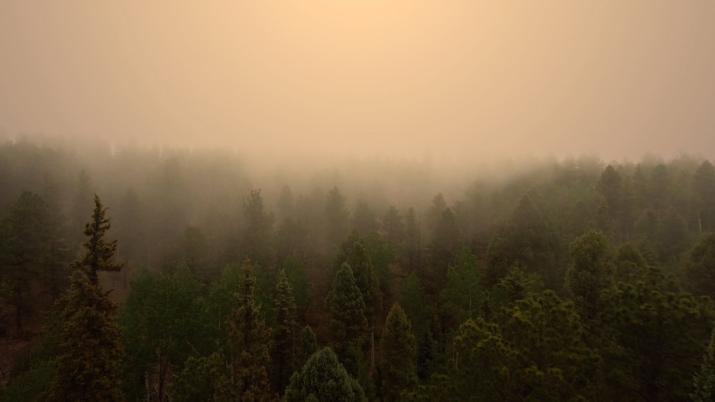 Above Beyond Fog Still