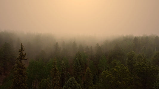 Above Beyond Fog Still