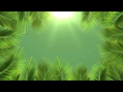 Palm Sunday Bright 2