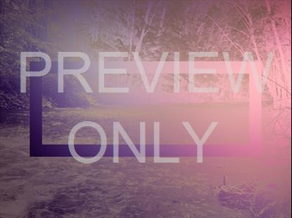 River Wild 12 Remix Still