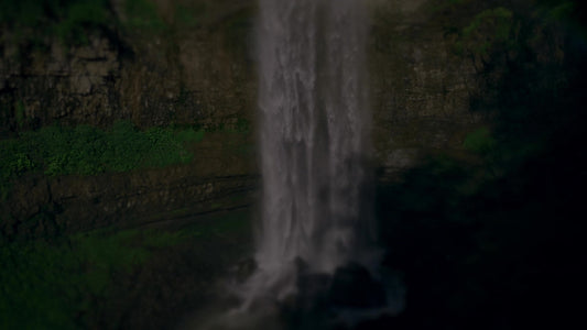 Nature'S Force 12 Darken Still