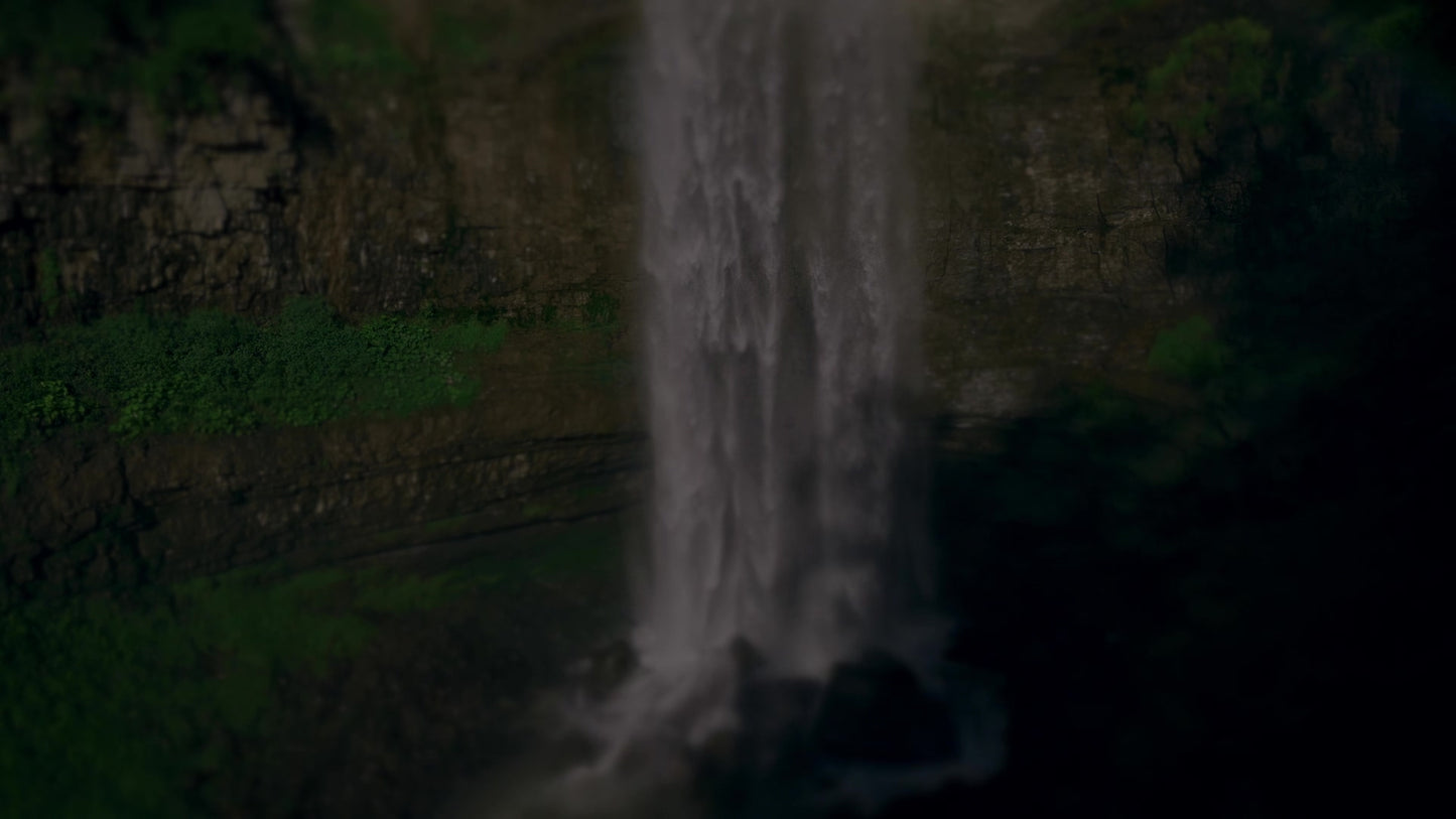 Nature'S Force 12 Darken