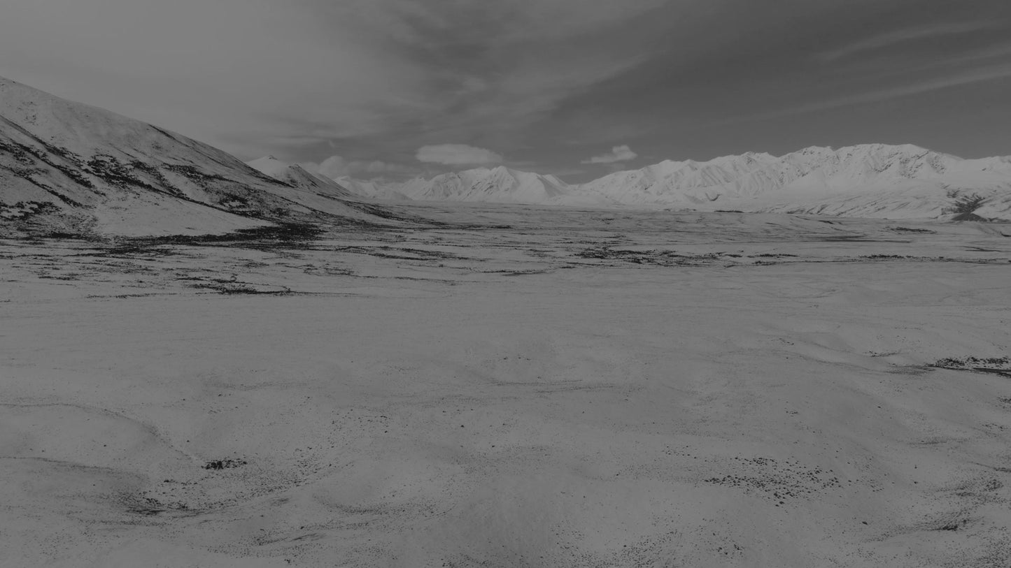 Winter Expanse 11 Alt Still