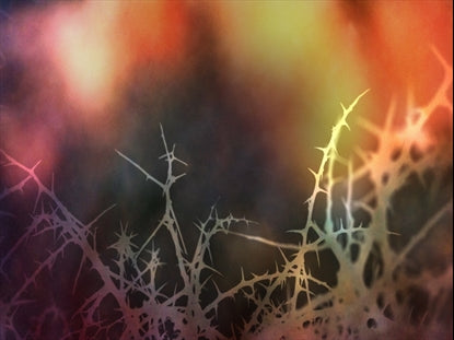 Grace Of Easter 15 Motion