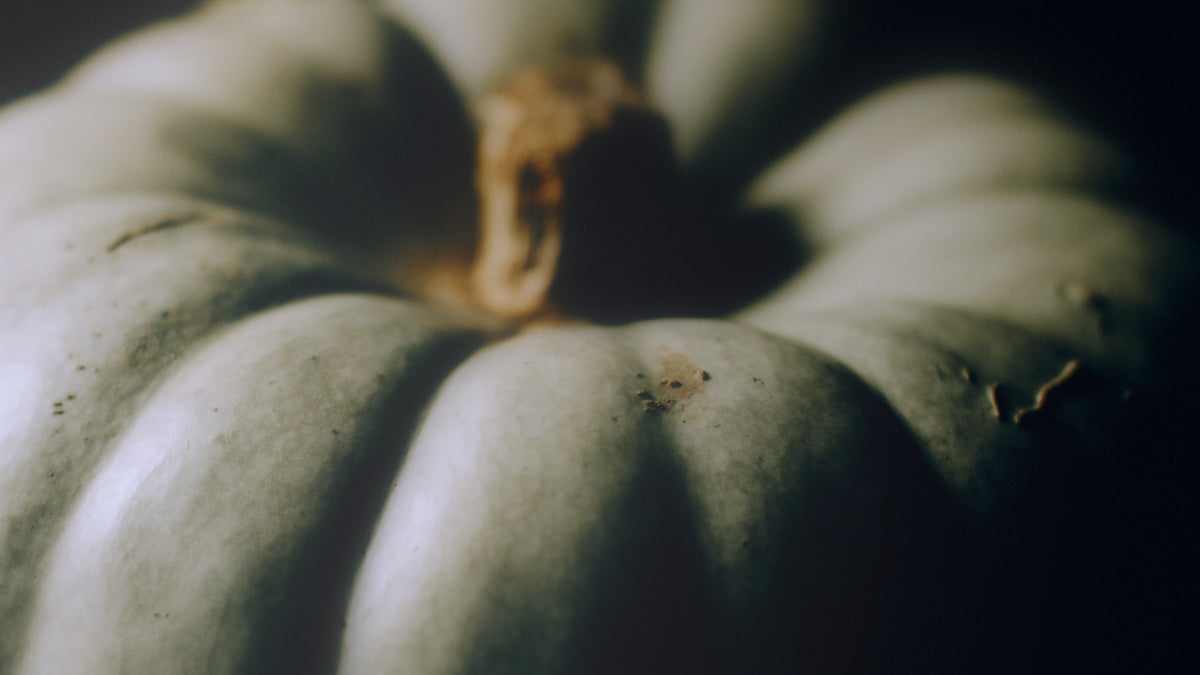 Heirloom Still 06
