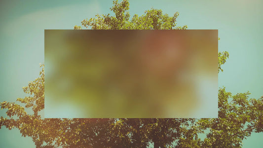 Summer Bright Solitary Alt Still